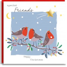 Friends Robins Christmas Card