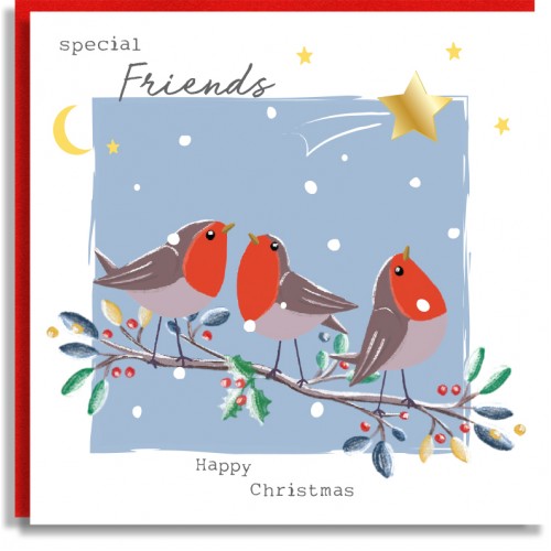 Friends Robins Christmas Card
