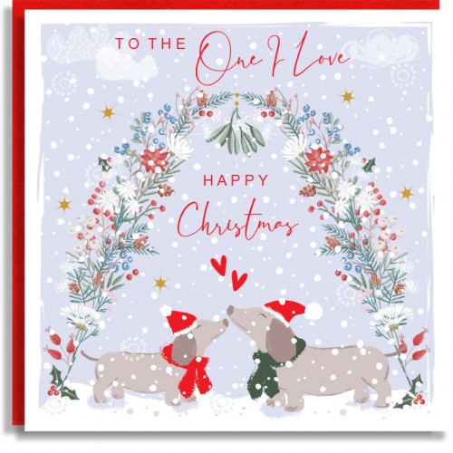 Dachshunds One I Love