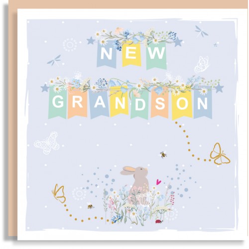 New Grandson Greeting Card