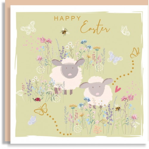 Sheep Easter Card