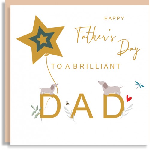 Brilliant Dad Father's Day Card