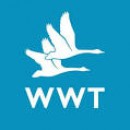 WWT - Wildfowl and Wetlands Trust